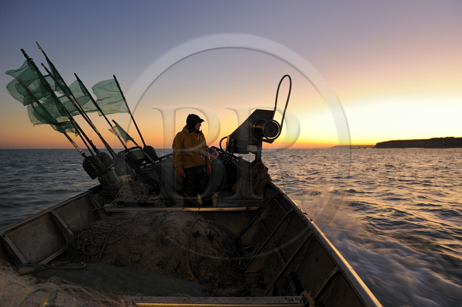 France, Seine-Maritime (76), au large de Veules-les-Roses à l'aube, pêche au filet à bord du bateau La Pomme appartenant à Anthony Paumier le plus jeune patron de pêche de France