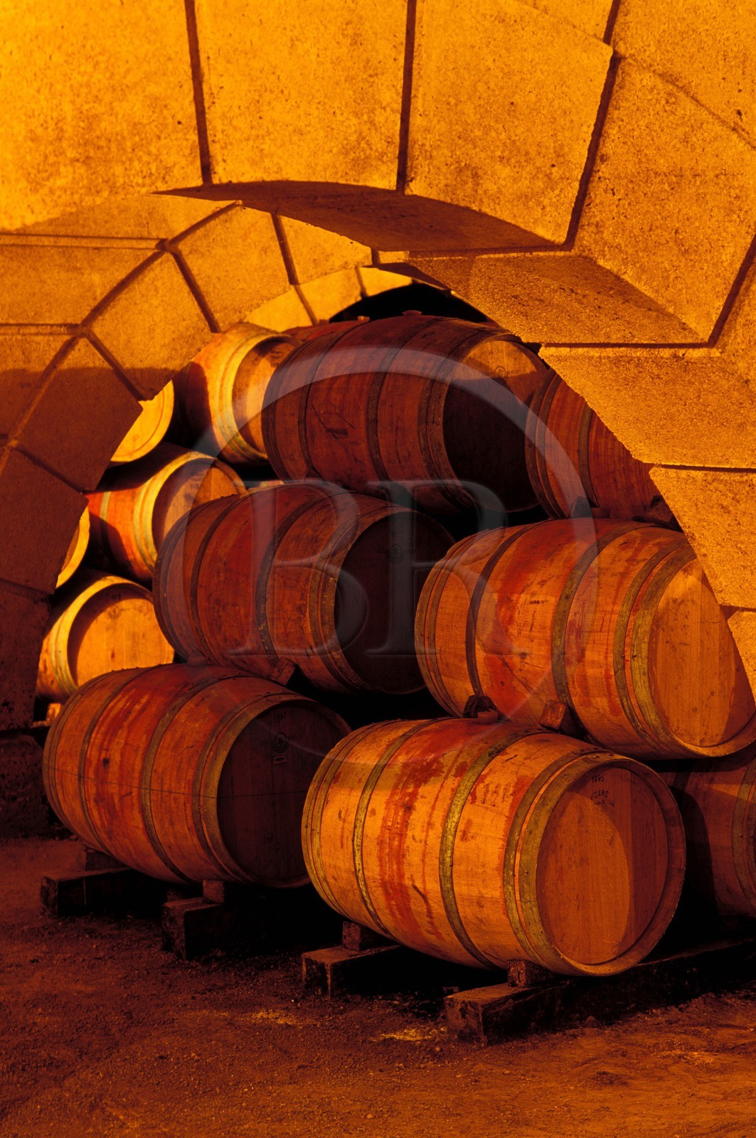 France, Gers, Maumusson Laguian, wine cellar of the hugest wine store house in Europe at the domaine de Boucasse