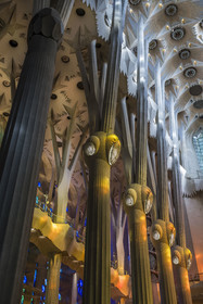 Spain, Catalonia, Barcelona, Eixample district, Sagrada Familia basilica by Catalan modernist architect Antoni Gaudi, listed as a UNESCO World Heritage Site, above the node, the columns of the central vessel (nave) are subdivided into branches like a tree, illuminated by the warm projections of the stained glass windows on the Passion facade