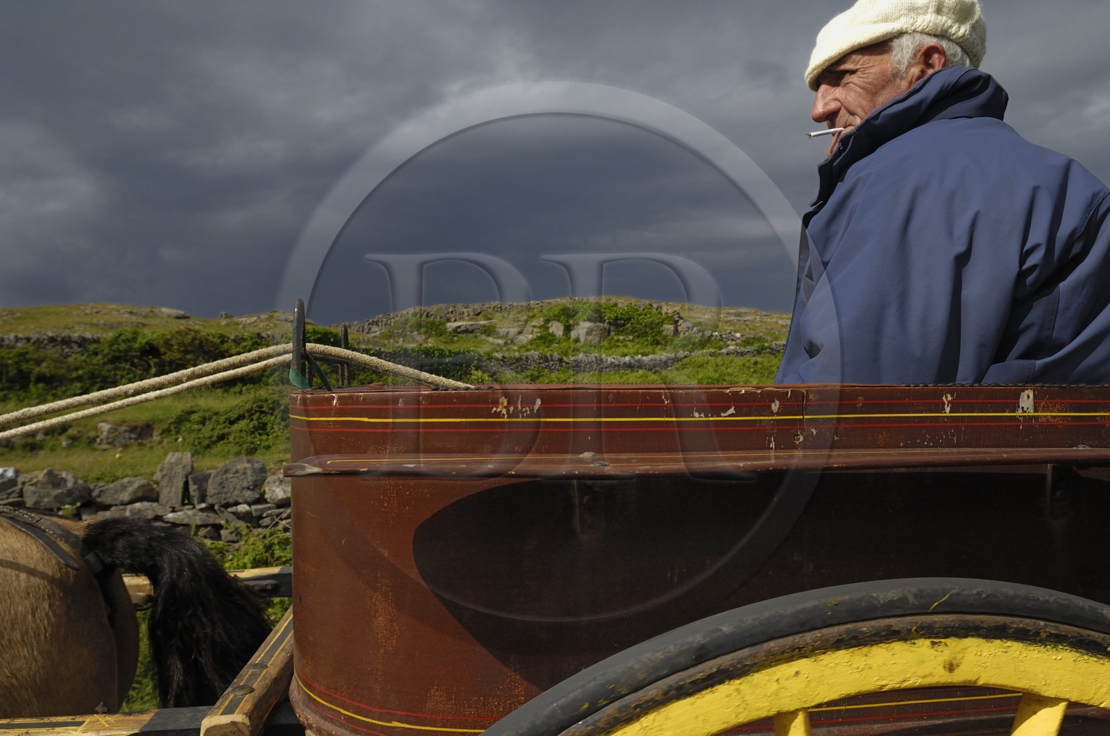 Irlande, Comté de Galway, Aran Islands, Inishmore, homme d'Aran sur sa calèche