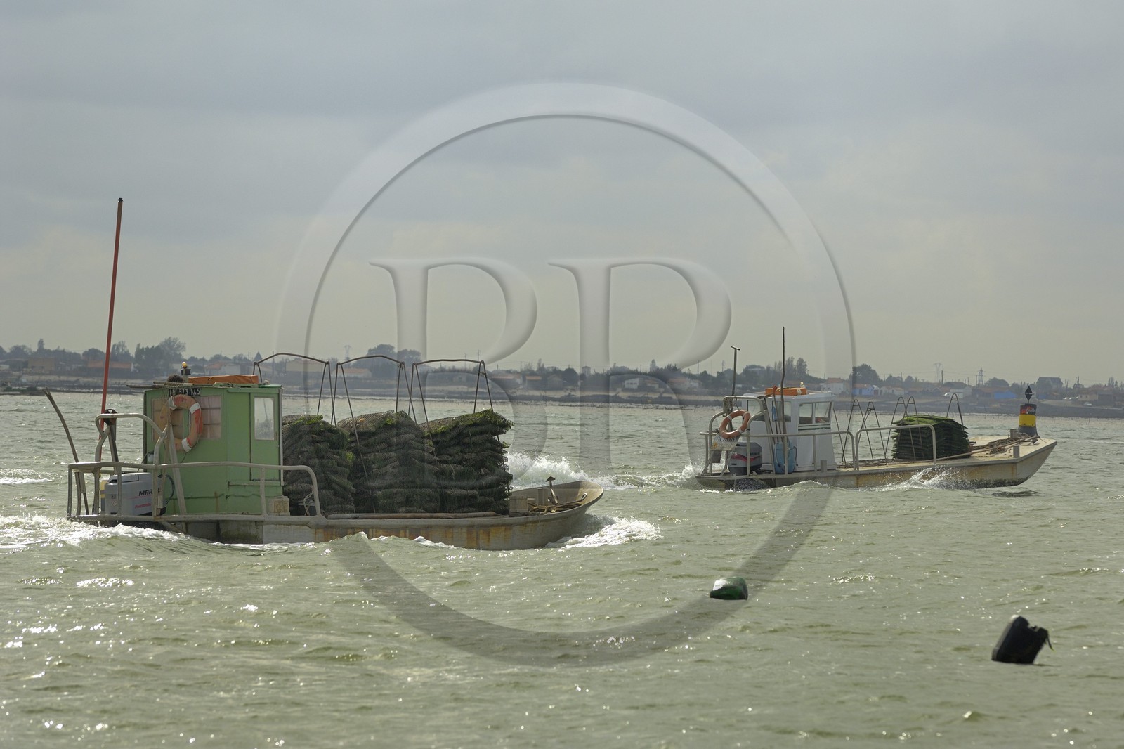 France, Charente-Maritime (17), le bassin Marrennes-Oléron au large de l'Ile d'Oléron, chaland à huîtres
