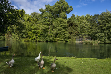 France, Cote d'Or, Climats terroirs of Burgundy listed as World Heritage by UNESCO, Beaune, the Bouzaize park
