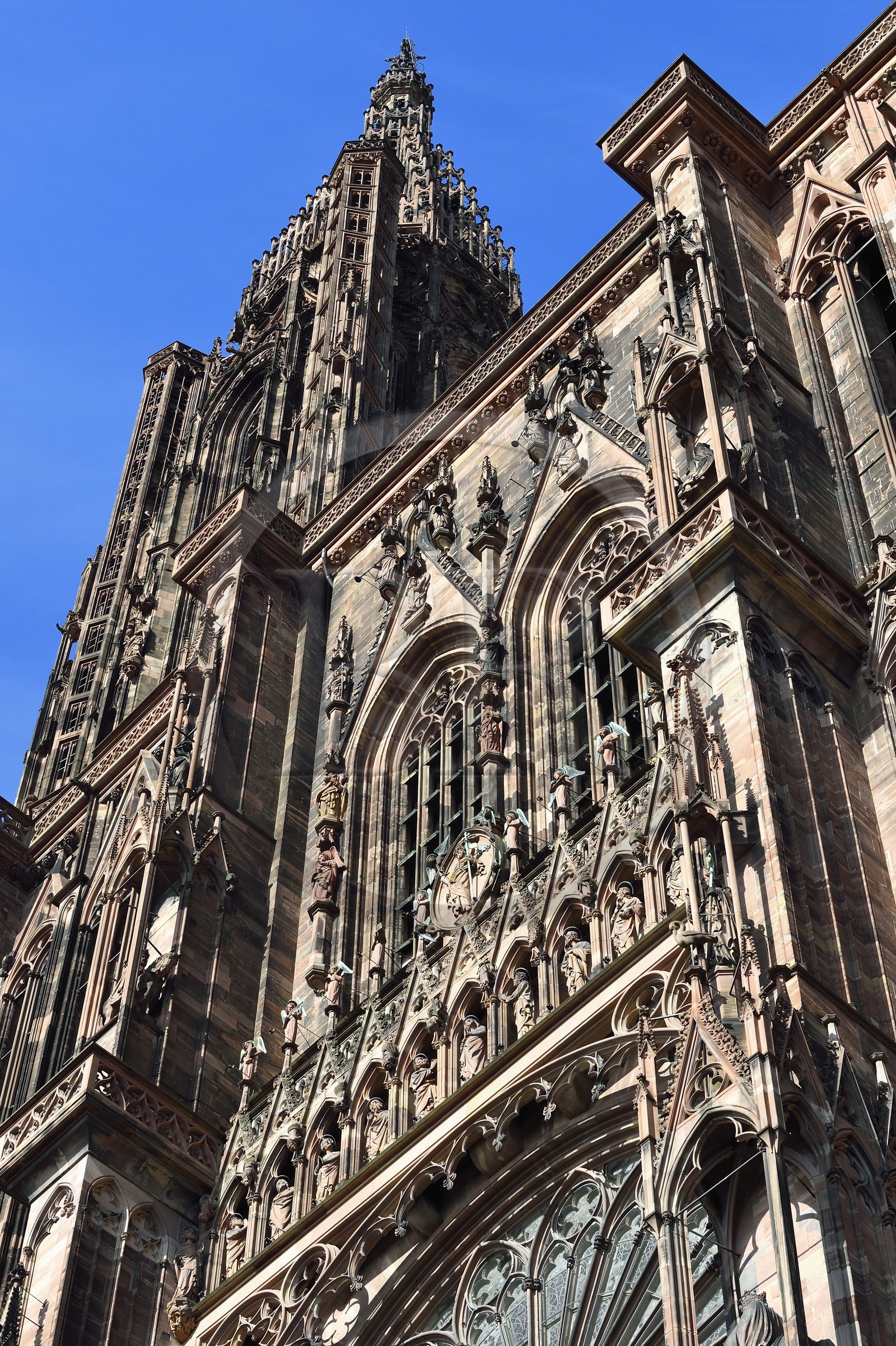 France, Bas-Rhin (67), Strasbourg, vieille ville classée au Patrimoine Mondial de l'UNESCO, la cathédrale Notre-Dame, la facade occidentale, la galerie des apotres surmonté du beffroi et de la flèche