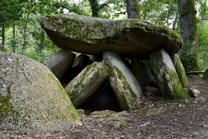 France, Morbihan (56), Trédion, dolmen de la Loge au loup, allée couverte datée de plus de 4500 ans