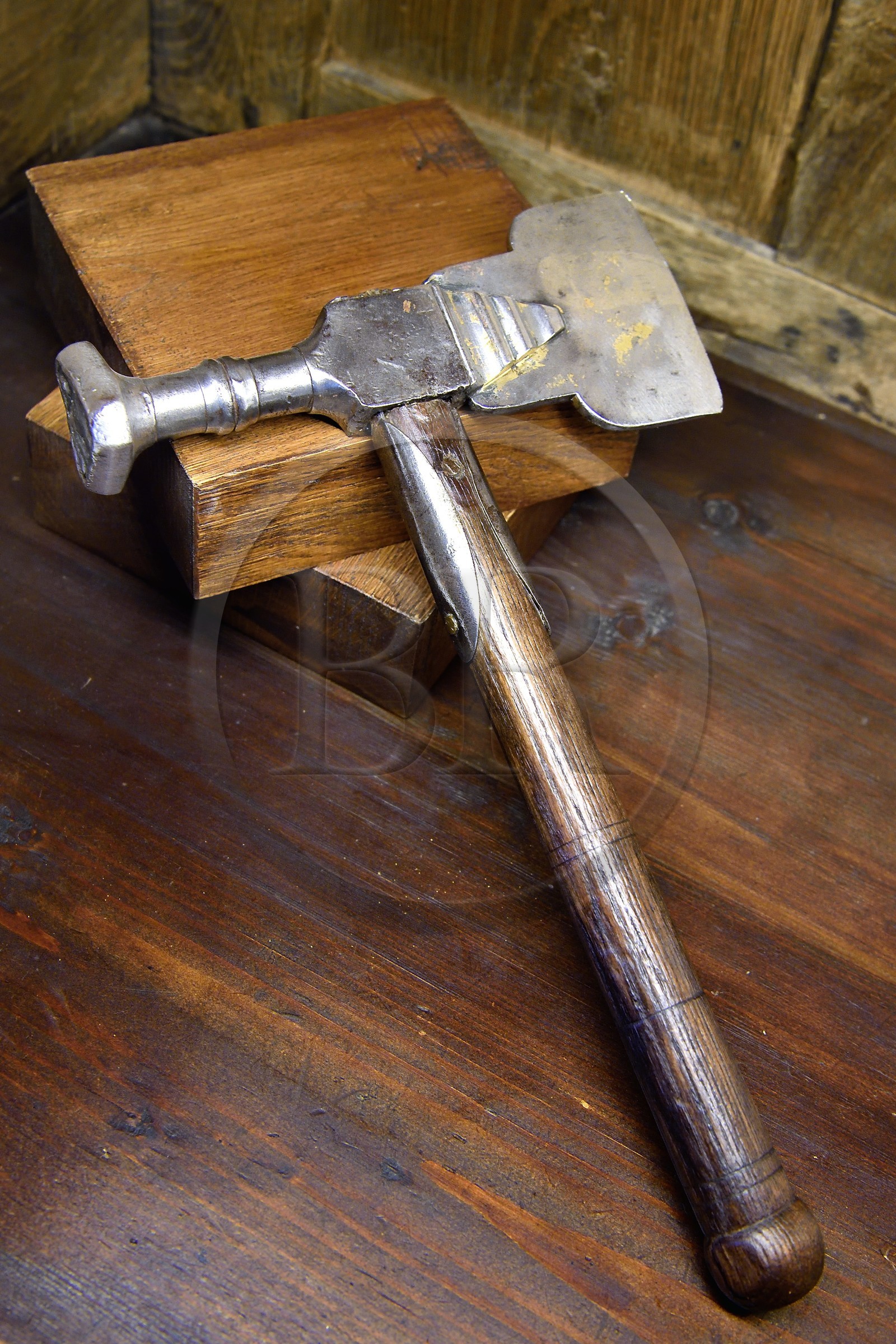 France, Aisne, Château-Thierry, Jean de La Fontaine Museum - city of Chateau-Thierry, hammer of Master of Water and Forests, office held by Jean de La Fontaine and also his father