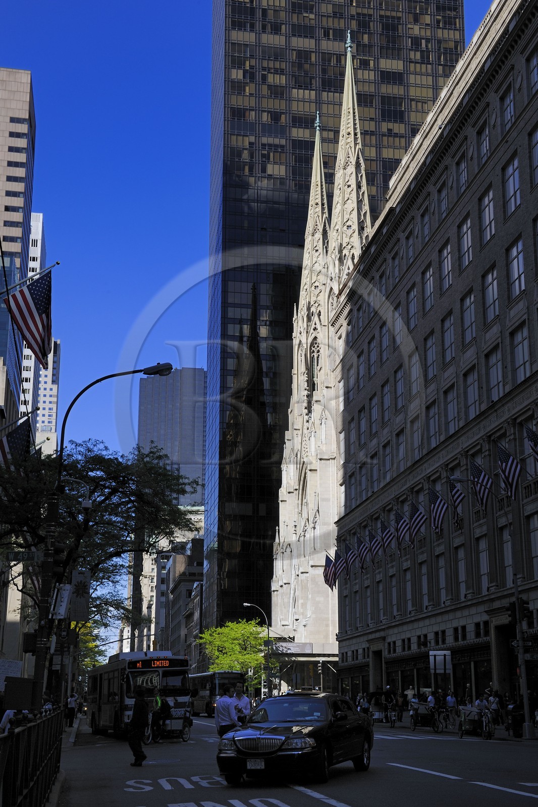 Etats-Unis, New York, Manhattan, Midtown, Etats-Unis, New York, Manhattan, cathédrale Saint Patrick sur la 5ème Avenue