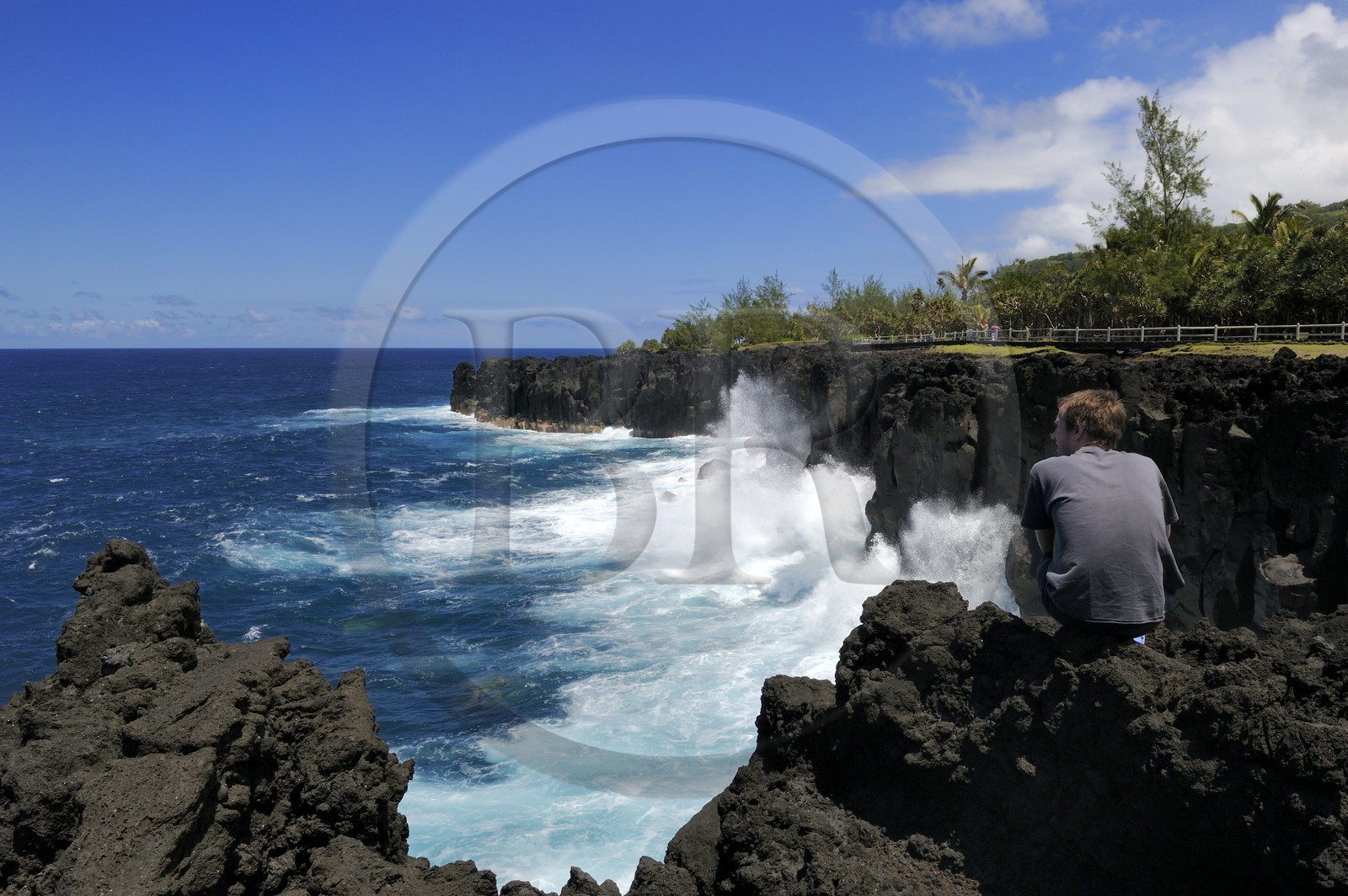 France, Ile de la Reunion, côte sud, Saint-Philippe, le Cap Méchant est situé le long d'une côte déchiquetée de roche volcanique frappée par la houle et typique de la région appelée Sud sauvage