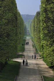 France, Yvelines, park of the Chateau de Versailles, listed as World Heritage by UNESCO, walkway leading to the Grand Canal
