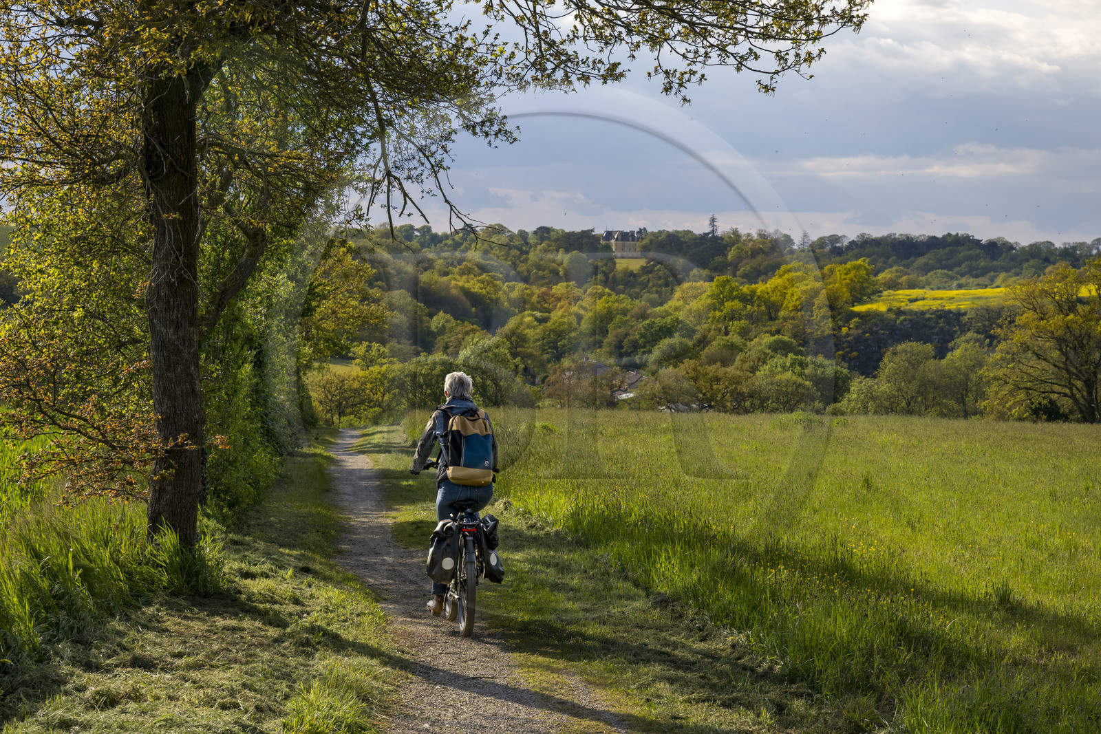 France, Vendée (85), Saint-Aubin-des-Ormeaux, sur la piste de la véloroute Vendée Vélo Tour