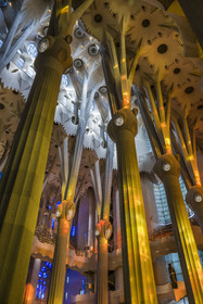 Spain, Catalonia, Barcelona, Eixample district, Sagrada Familia basilica by Catalan modernist architect Antoni Gaudi, listed as a UNESCO World Heritage Site, above the node, the columns of the central vessel (nave) are subdivided into branches like a tree, illuminated by the warm projections of the stained glass windows on the Passion facade