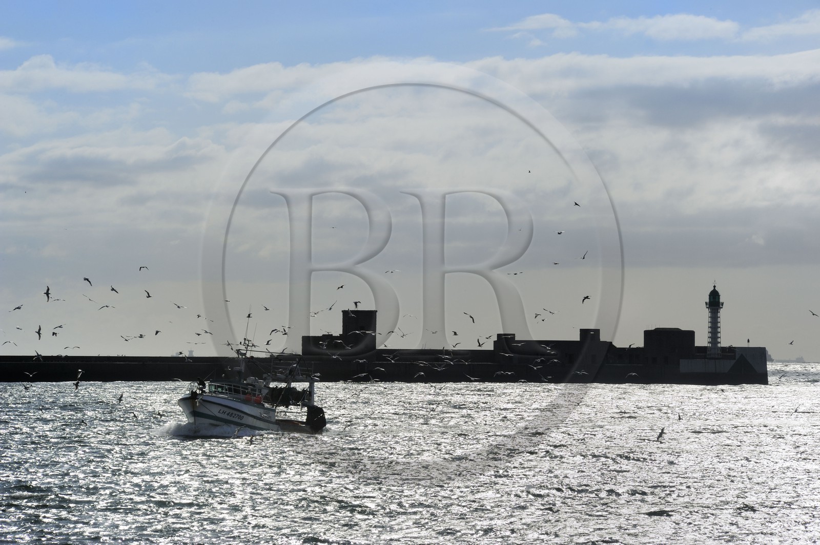 France, Seine Maritime, Le Havre, fishing boat returning to port followed by a flock of seagulls