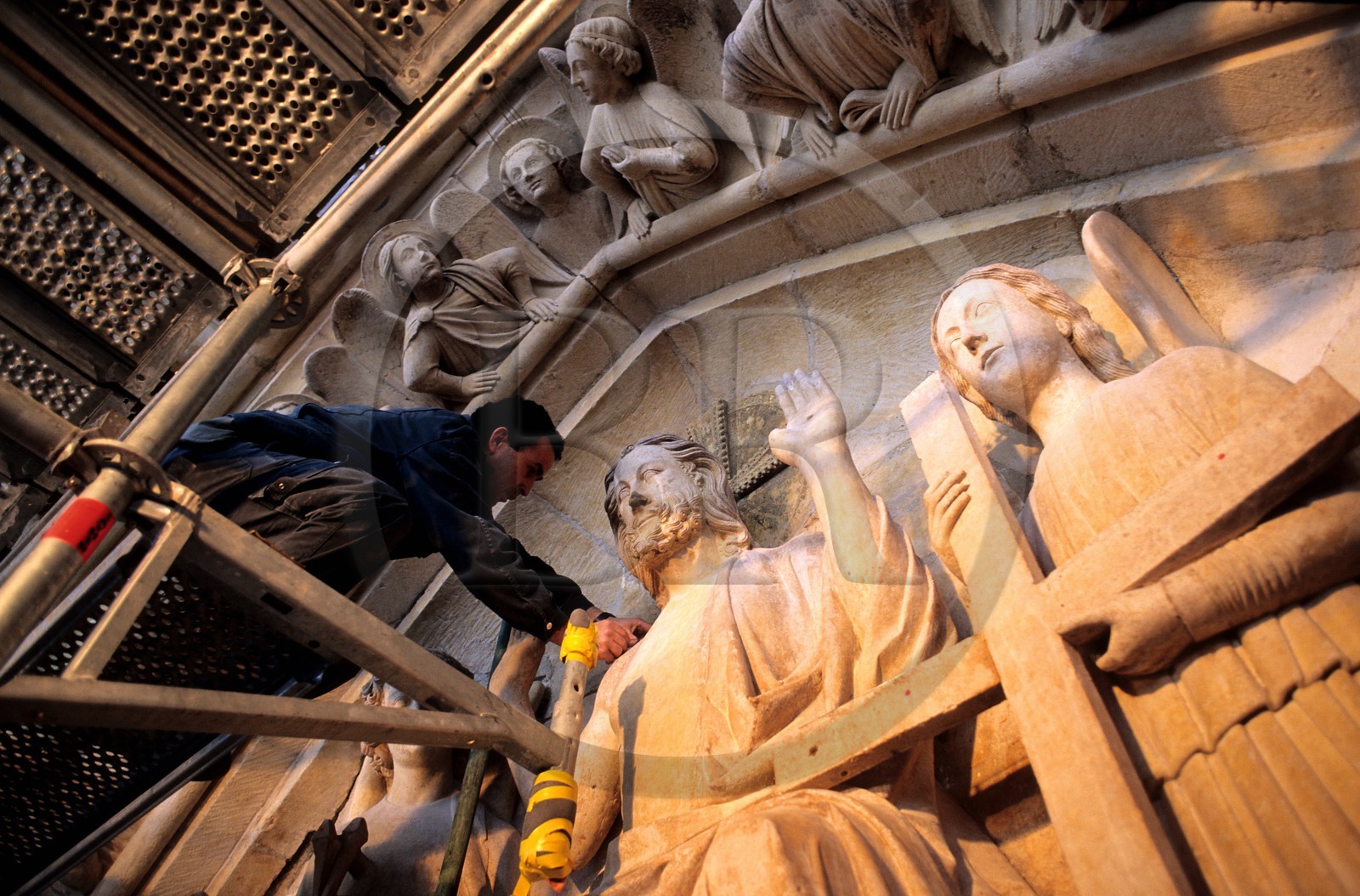 France, Paris, Notre Dame cathedral, installation of an electrical system against the pigeons for the statues protection