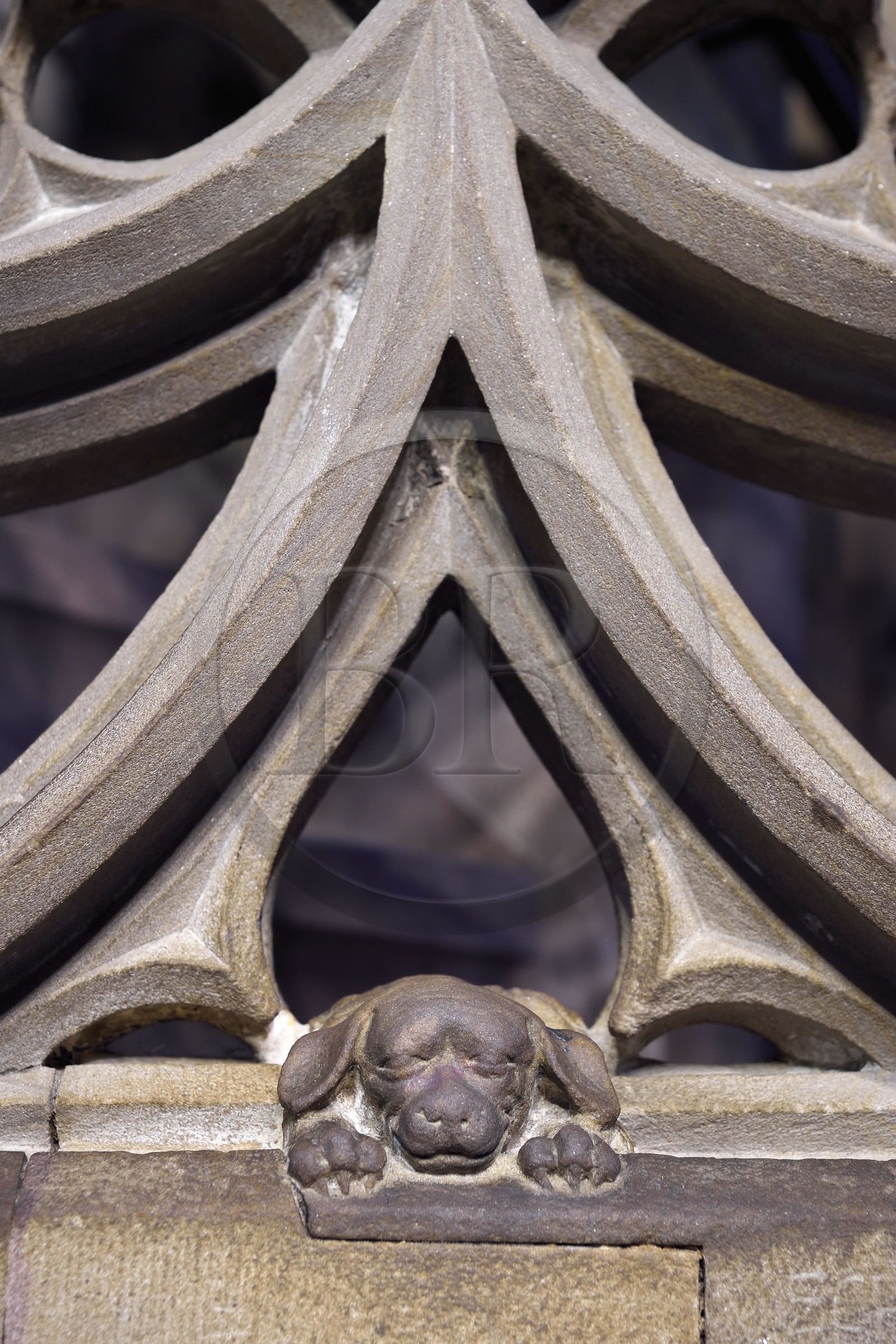 France, Bas-Rhin (67), Strasbourg, vieille ville classée au Patrimoine Mondial de l'UNESCO, la cathédrale Notre-Dame, la chaire du grand prédicateur Geiler de Kaysersberg réalisée par le sculpteur Hans Hammer en 1485, sculpture du « petit chien de Geiler » peut être une allusion au prédicateur dominicain (domini canis soit le chien du Seigneur) et à la fidélité