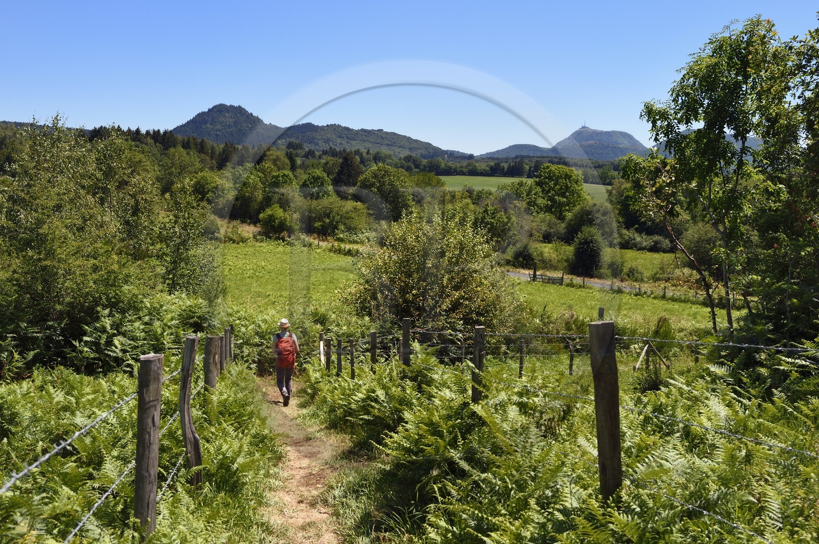 France, Puy-de-Dôme (63), Le Bouchet, Parc naturel régional des Volcans d'Auvergne, randonneuse sur le sentier des puys de Jumes et de la Coquille, en arrière plan le volcan le Puy Chopine à gauche et le Puy de Dome à droite