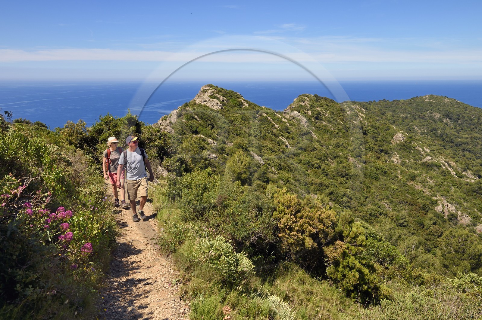 France, Var, Six Fours les Plages, hike in the Cap Sicie massif, hikers on the Roumagnan crest trail