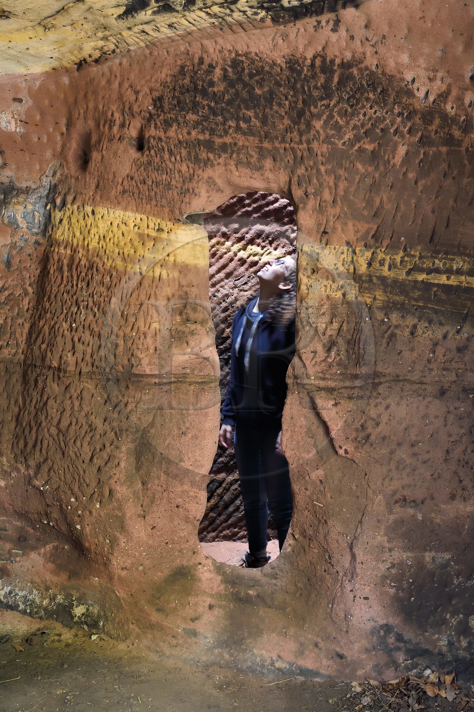 France, Bas-Rhin (67), Parc naturel régional des Vosges du Nord, Lembach, foret domaniale de Steinbach, ruines du chateau de Froensbourg