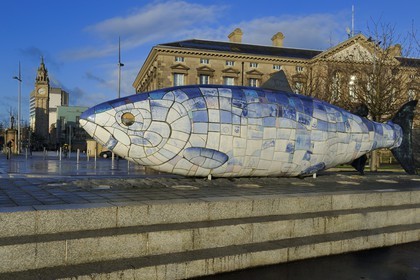 Royaume-Uni, Irlande du Nord, Belfast, le waterfront  au bord de la rivière Lagan, le The Big Fish de John Kindness sur Donegall Quay et la Clock Tower (la tour de l'Horloge)