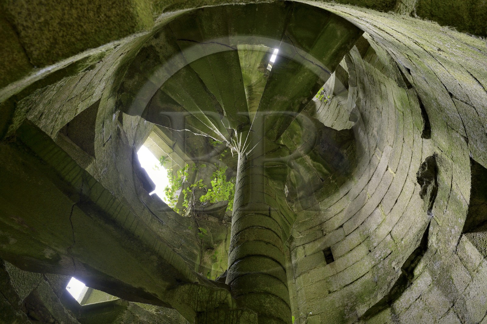 France, Finistere, Pont-Aven, Nizon, Rustephan castle, former manor house of the fifteenth and sixteenth century ruin