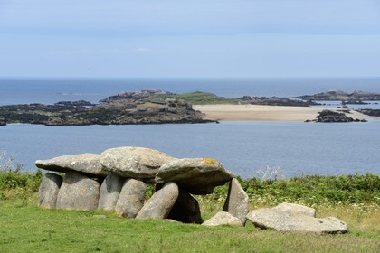 France, Côtes-d'Armor (22), Côte de Granit Rose, Trébeurden, allée couverte sur l'île Milliau et l'île Molène en arrière plan