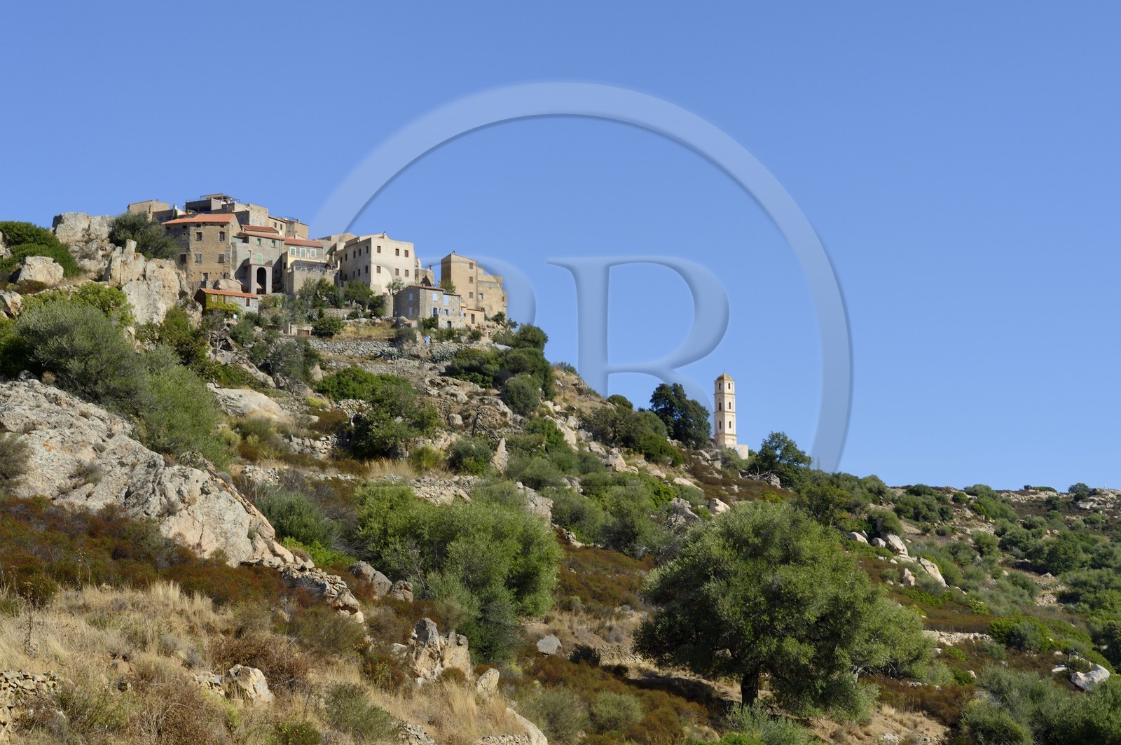 France, Haute-Corse (2B), Balagne, village perché de Sant'Antonino, labellisé Les Plus Beaux Villages de France, vue générale du village avec l'église de l'Annonciation