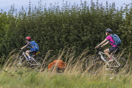 France, Maine-et-Loire (49), vallée de la Loire classée au Patrimoine Mondial par l'UNESCO, Saumur vers Saint-Hilaire, randonnée à bicyclette