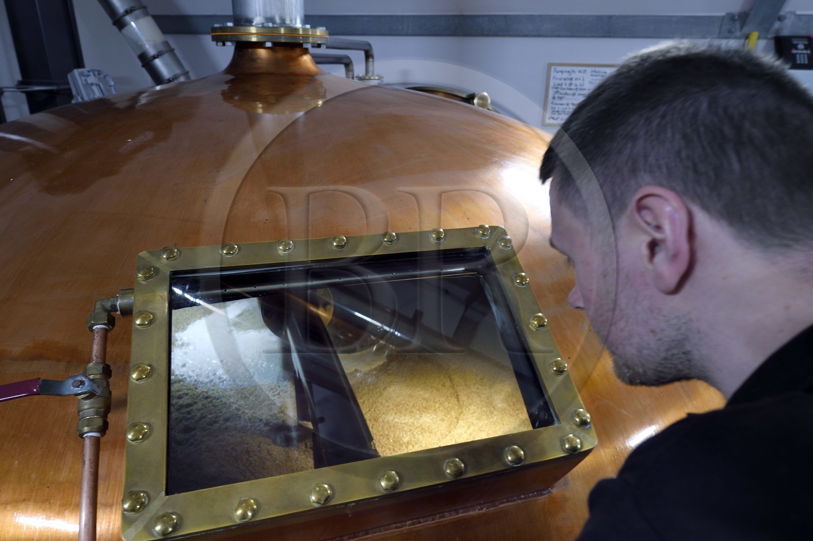 Royaume-Uni, Ecosse, région des Highlands, les Hébrides, Ile de Skye, Teangue, Distillerie de whisky Torabhaig, mash tun dans la cuve de brassage supervisé par le distilleur David