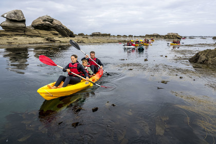 France, Finistère (29), Penmarch, archipel des Étocs, sortie en kayak du Centre nautique du Guilvinec à la découverte du phoque gris (halichoerus grypus) dans les rochers à marée basse