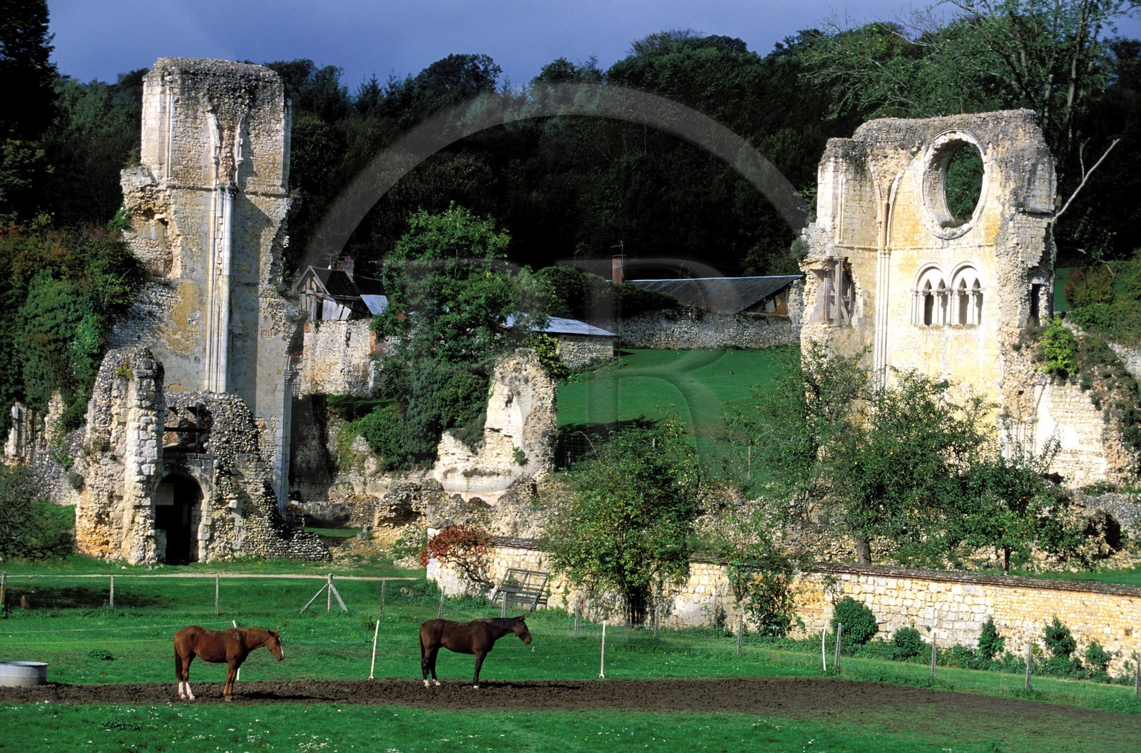 France, Eure (27), ruines de l'abbaye de Mortemer
