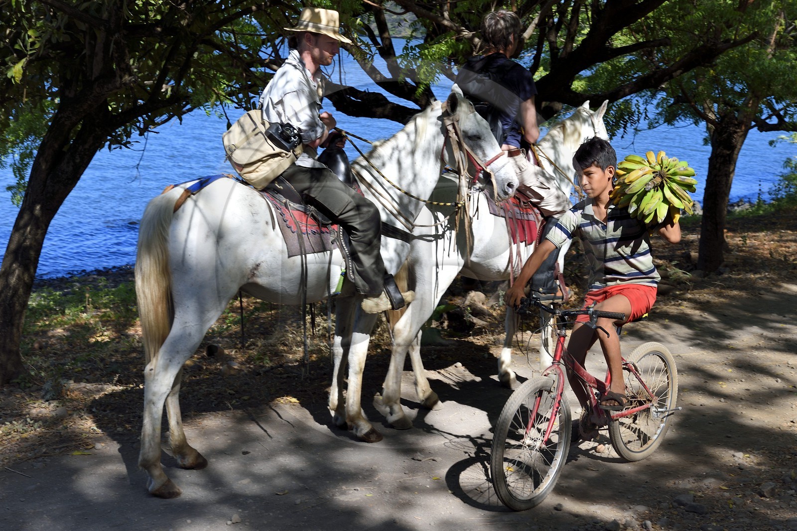 Nicaragua, Ile d'Ometepe sur le lac Nicaragua, cavaliers en randonnée en bordure du lac et jeune cycliste transportant un régime de banane