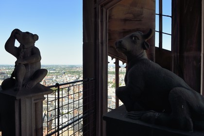 France, Bas-Rhin (67), Strasbourg, vieille ville classée au Patrimoine Mondial de l'UNESCO, la cathédrale Notre-Dame, à mi hauteur de chacun des quatres escaliers à vis appelées les Vier Schnecken (quatre escargots), une passerelle les relie à la tour octogonale et on y trouve deux statues, ici l'ours enchainé et le taureau (références aux constellations de la Grande Ours et du Bouvier)