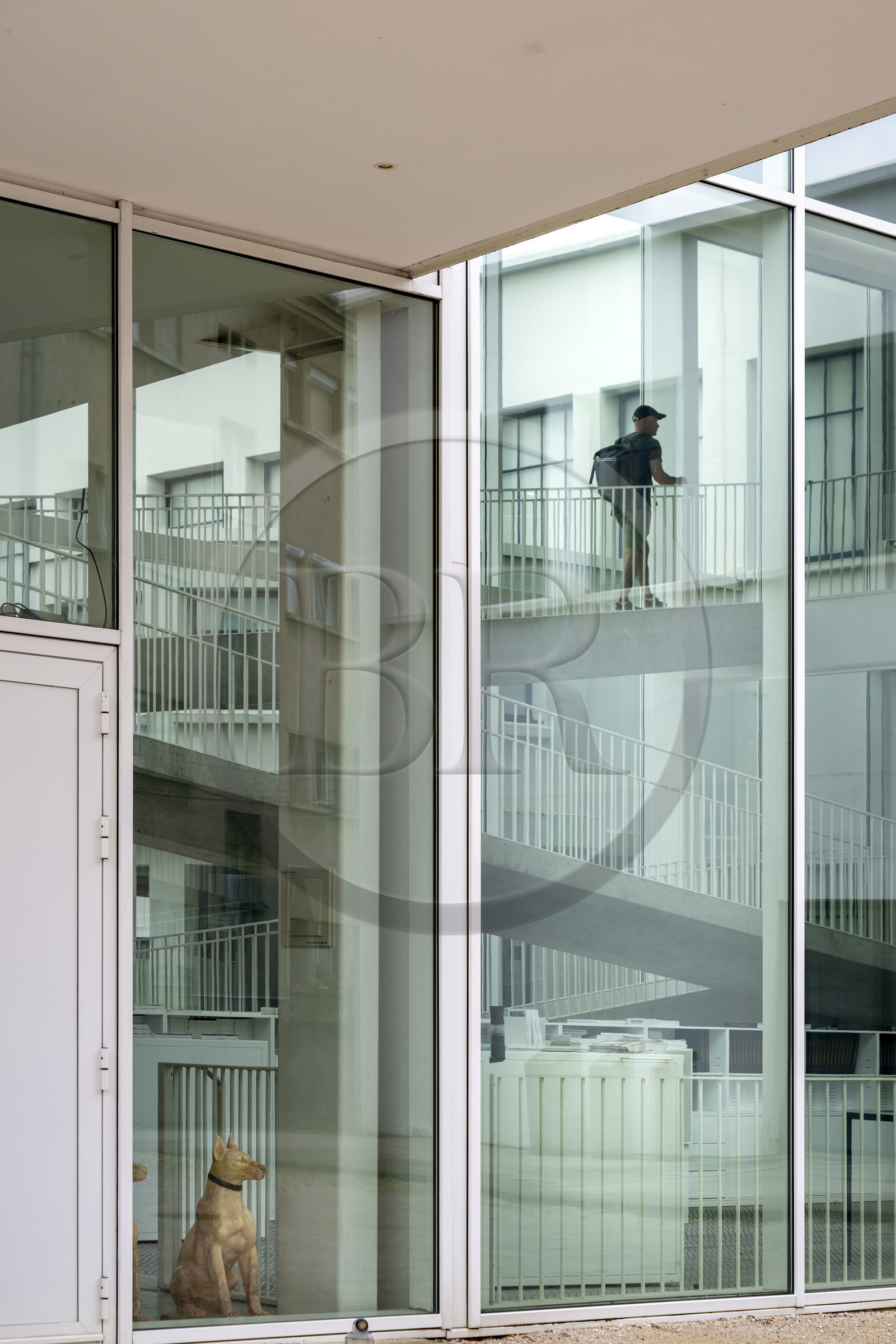 France, Cote d'Or, Dijon, the Consortium Museum, a contemporary art center opened in 2011 and designed by architects Shigeru Ban and Jean de Gastines