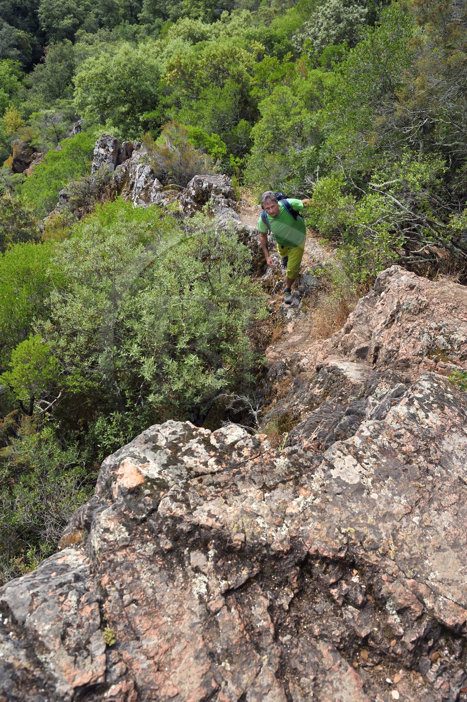 France, Var (83), entre Bagnols-en-Forêt et Roquebrune-sur-Argens, randonnée dans les Gorges du Blavet