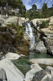 France, Haute-Corse (2B), Vivario, GR 20, étape entre le refuge de l'Onda et Vizzavona, foret de Vizzavona, les cascades des anglais, groupe de cascades dans la vallée de l'Agnone au pied du Monte d'Oro