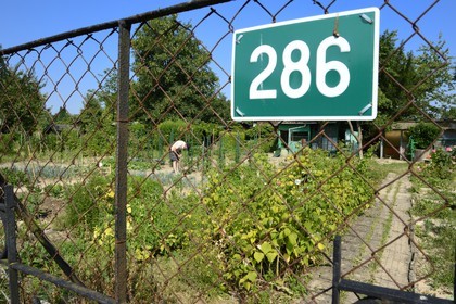 France, Bas-Rhin (67), Strasbourg, quartier de la Robertsau, jardins ouvriers