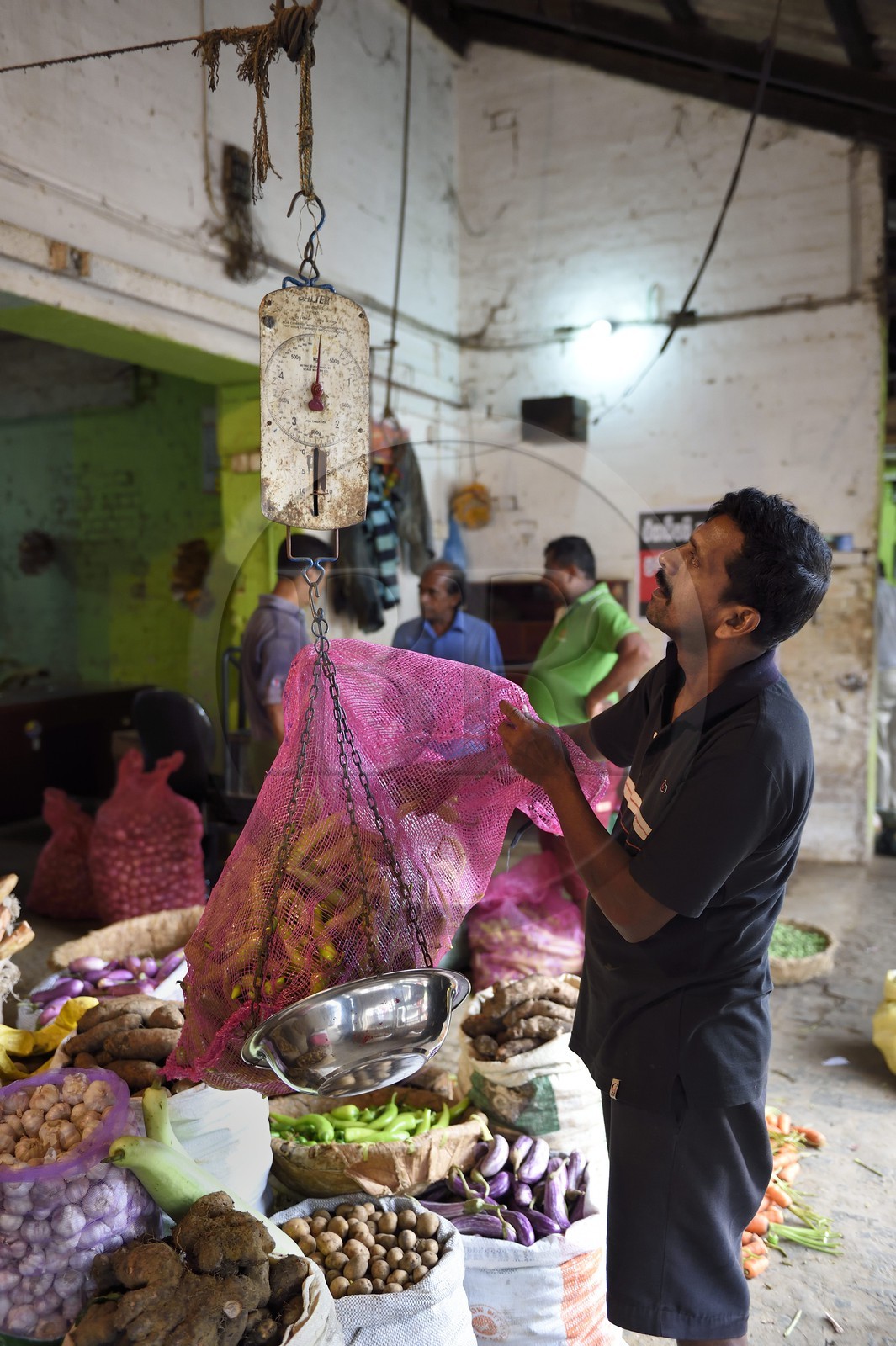 Sri Lanka, Western Province, Colombo District, Colombo, Manning fruits and vegetables market in Pettah district