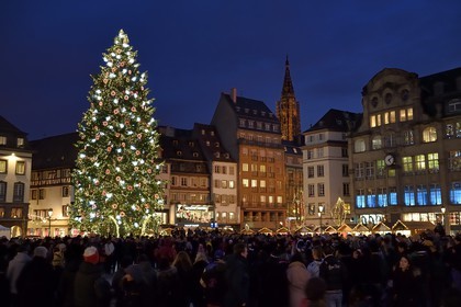France, Bas-Rhin (67), Strasbourg, vieille ville classée Patrimoine Mondial de l'UNESCO, le Grand Sapin de Noël de la place Kléber et la Cathédrale Notre Dame en arrière plan