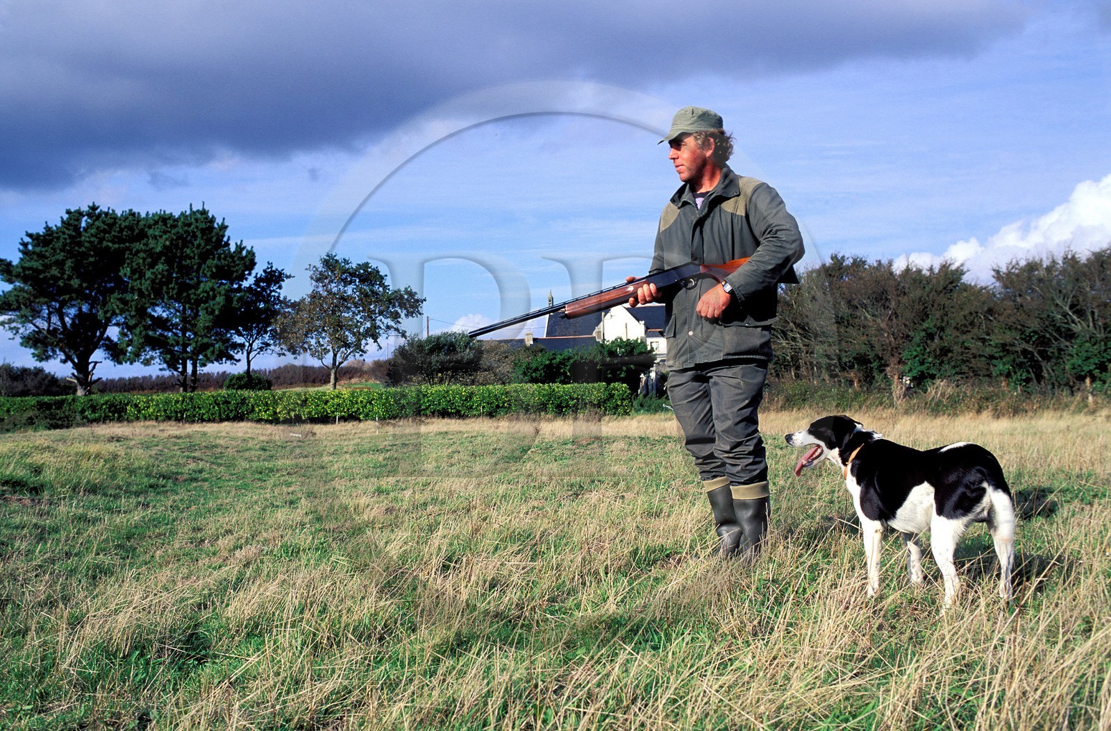 France, Morbihan, Belle Ile island, hunter and his dog