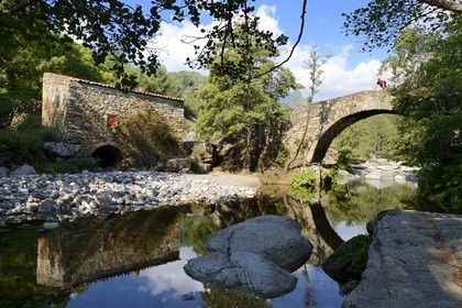 France, Haute-Corse (2B), région du Niolu (Niolo), pont génois de Murricciolu sur la rivière Calasima et l'ancien moulin