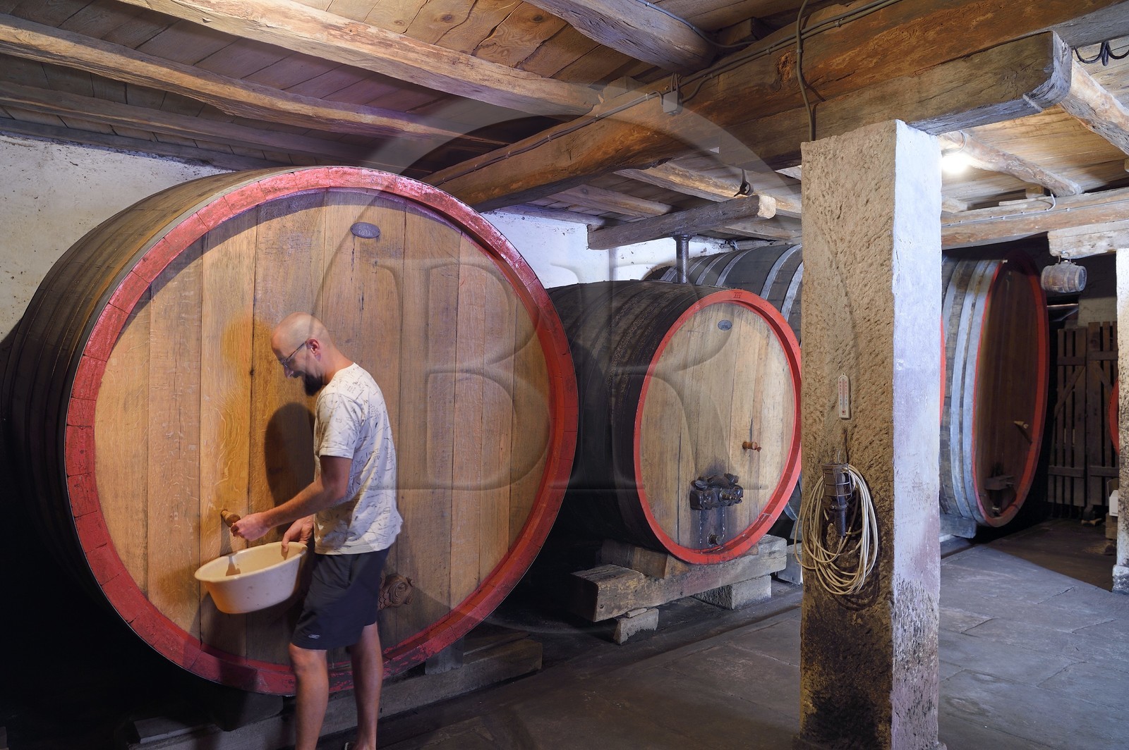 France, Bas Rhin, the Alsace Wine Route, Traenheim, Wine estate MULLER Charles & Fils cave