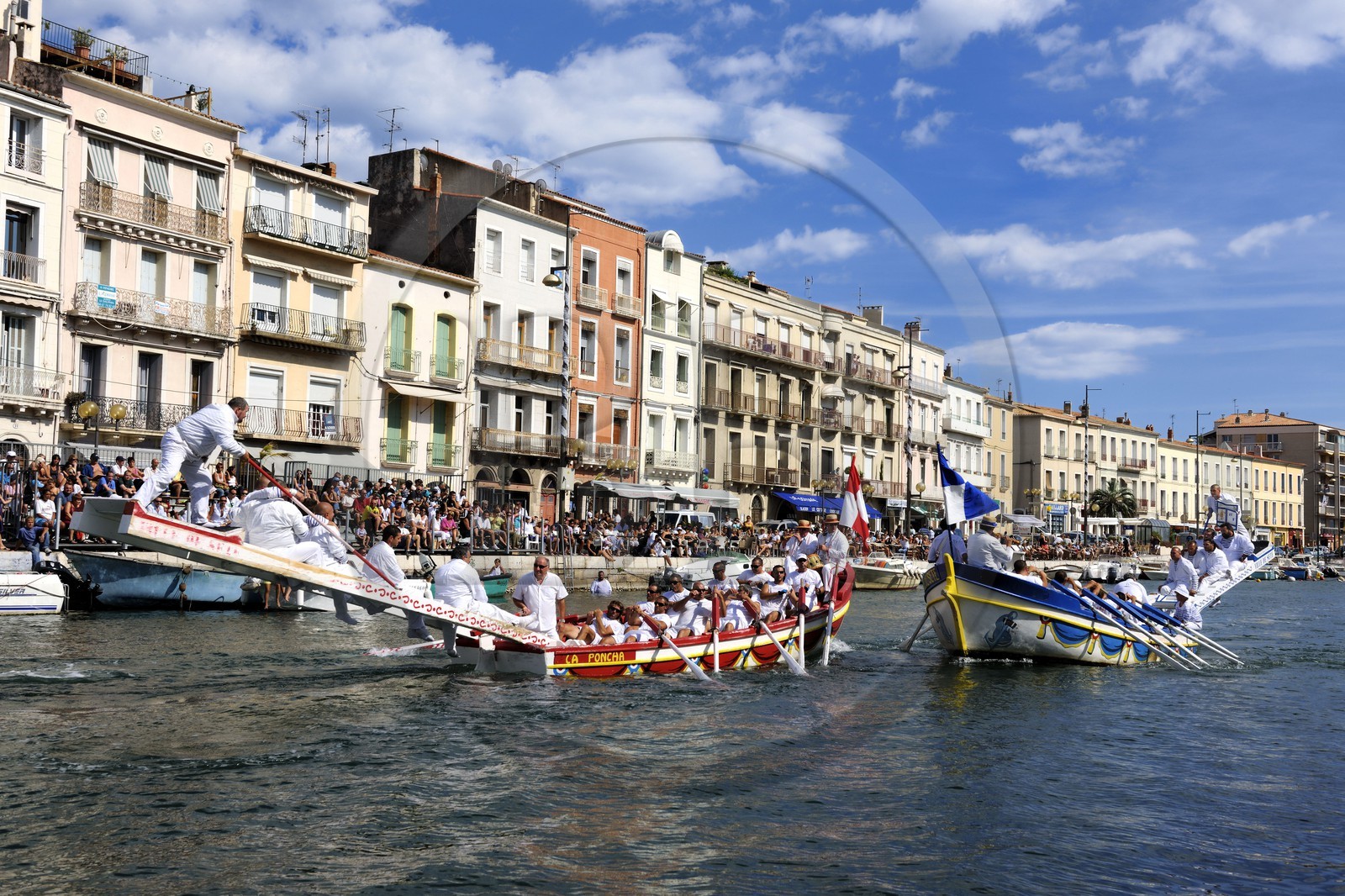 France, Hérault (34), Sète, canal Royal, fête de la Saint Louis, joutes sètoises
