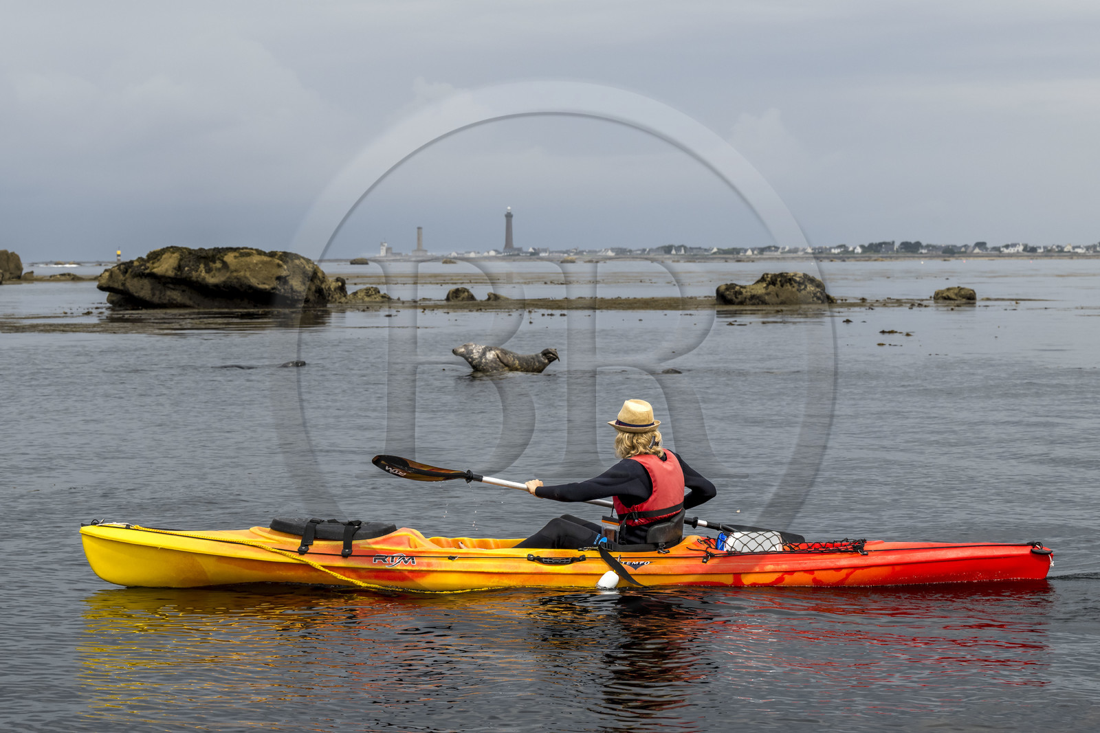 France, Finistère (29), Penmarch, archipel des Étocs, sortie en kayak du Centre nautique du Guilvinec à la découverte du phoque gris (halichoerus grypus) dans les rochers à marée basse, le phare d'Eckmuhl sur la Pointe de Penmarch en arrière plan