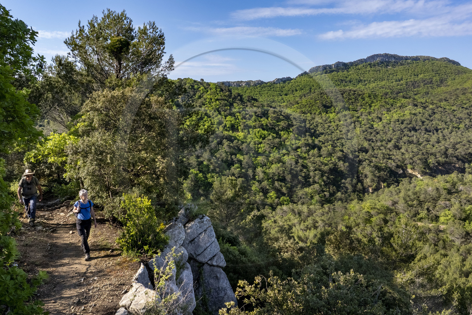 France, Vaucluse (84), Dentelles de Montmirail, Crestet, la crête de Saint-Amand vue du Sud depuis le GR de Pays vers la Croix de Verrière (vue aérienne)