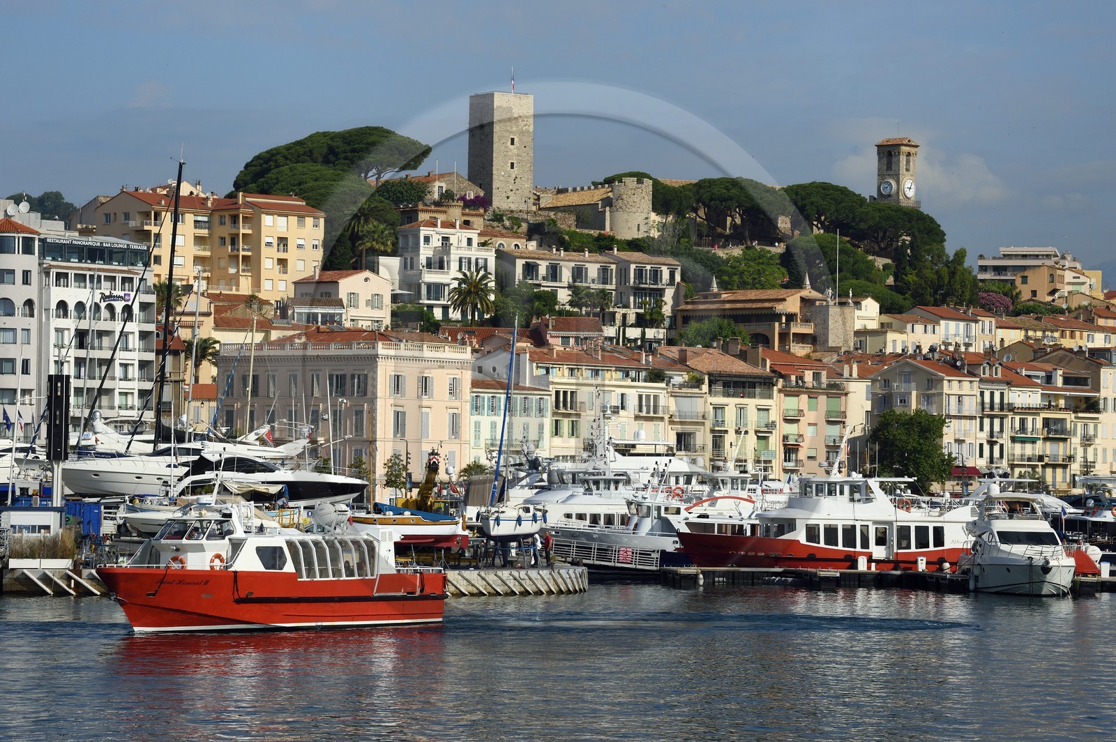 France, Alpes-Maritimes (06), Cannes, le port et la vieille ville dans le quartier Le Suquet, à son sommet la Tour du Suquet et le clocher de l'église Notre-Dame-de-l'Espérance