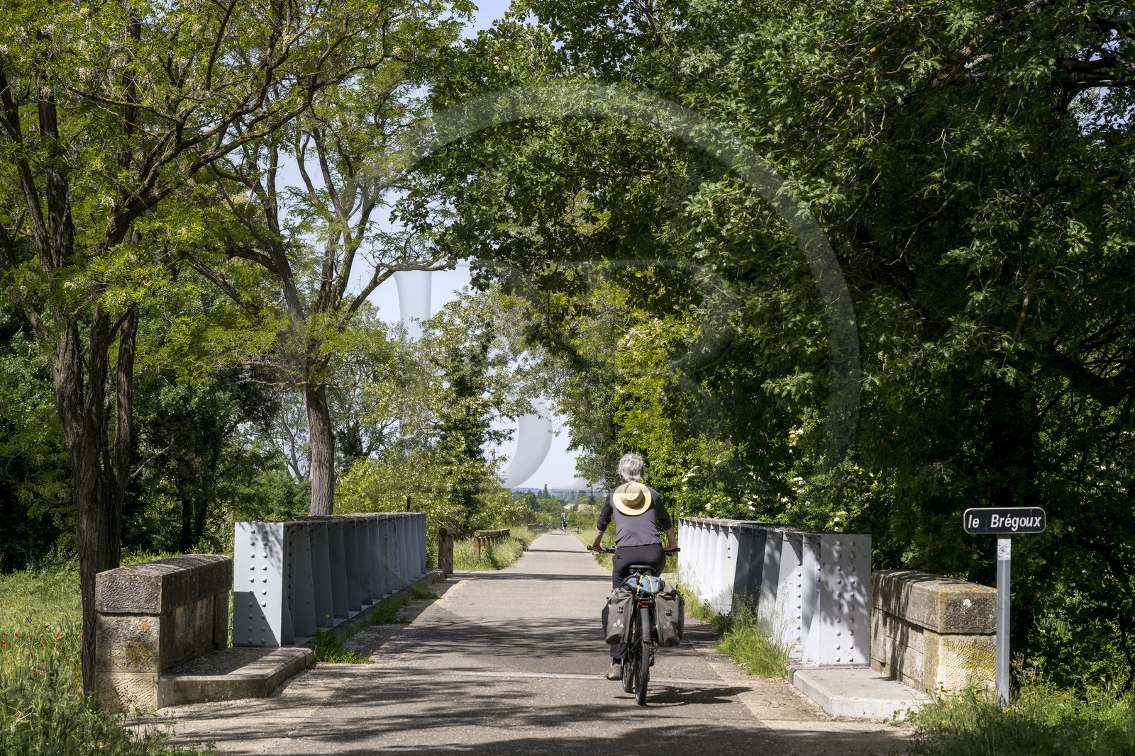 France, Vaucluse (84), Sarrians, randonnée à vélo électrique sur la véloroute Via Venaissia aménagée sur une ancienne voie ferrée
