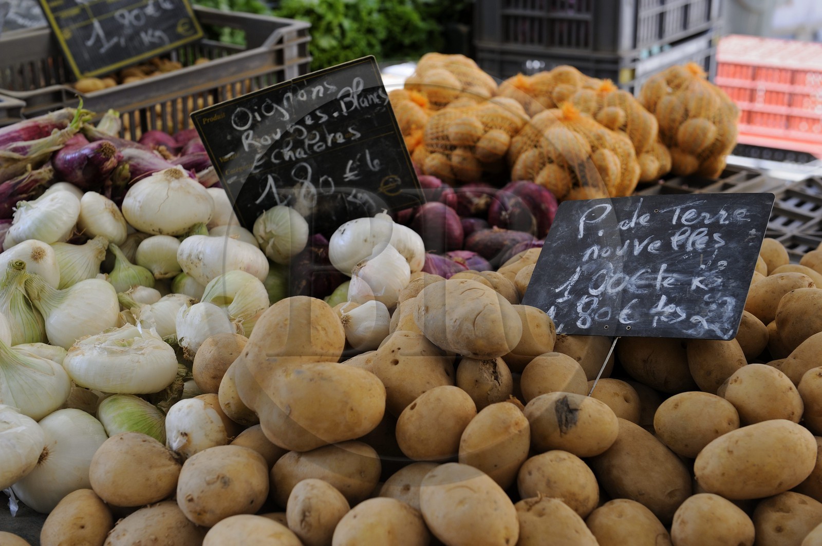 France, Bouches-du-Rhône (13), Aix-en-Provence, marché place de l'Hôtel de ville, étal de légumes bio
