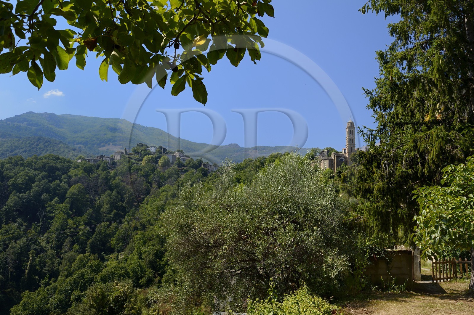 France, Haute-Corse (2B), Castagniccia, village de Carcheto et l’église Sainte Marguerite