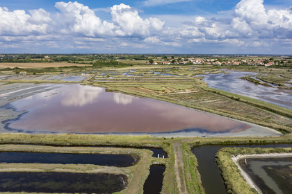 France, Vendée (85), Talmont-Saint-Hilaire, marais salants de la Guittière dans l'arrière pays de la Pointe du Payré (vue aérienne)