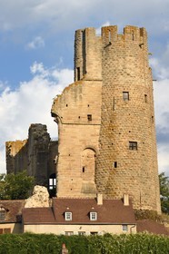 France, Allier (03), former province of Bourbonnais, the 13th century Bourbon l'Archambault castle