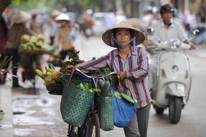 Vietnam, Hanoï,  old city, fruit and vegetable seller on bicycle