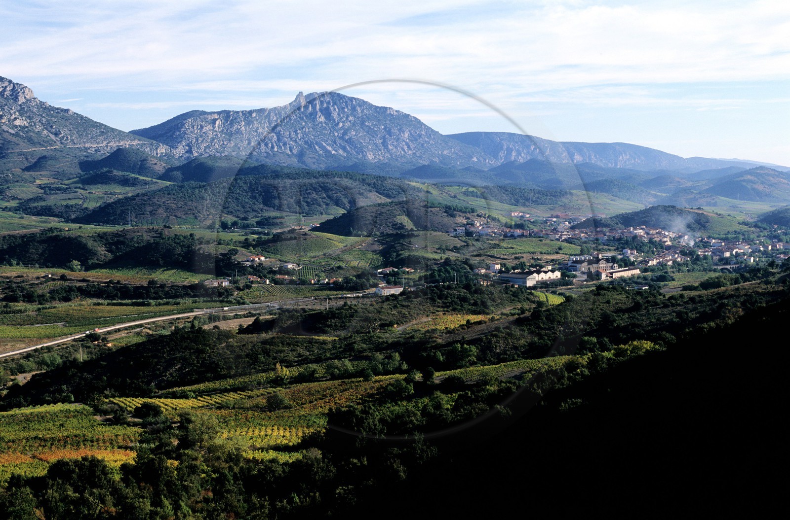 France, Pyrénées-Orientales (66), terroir du vin AOC de Maury dans les Fenouillèdes au pied du château de Quéribus